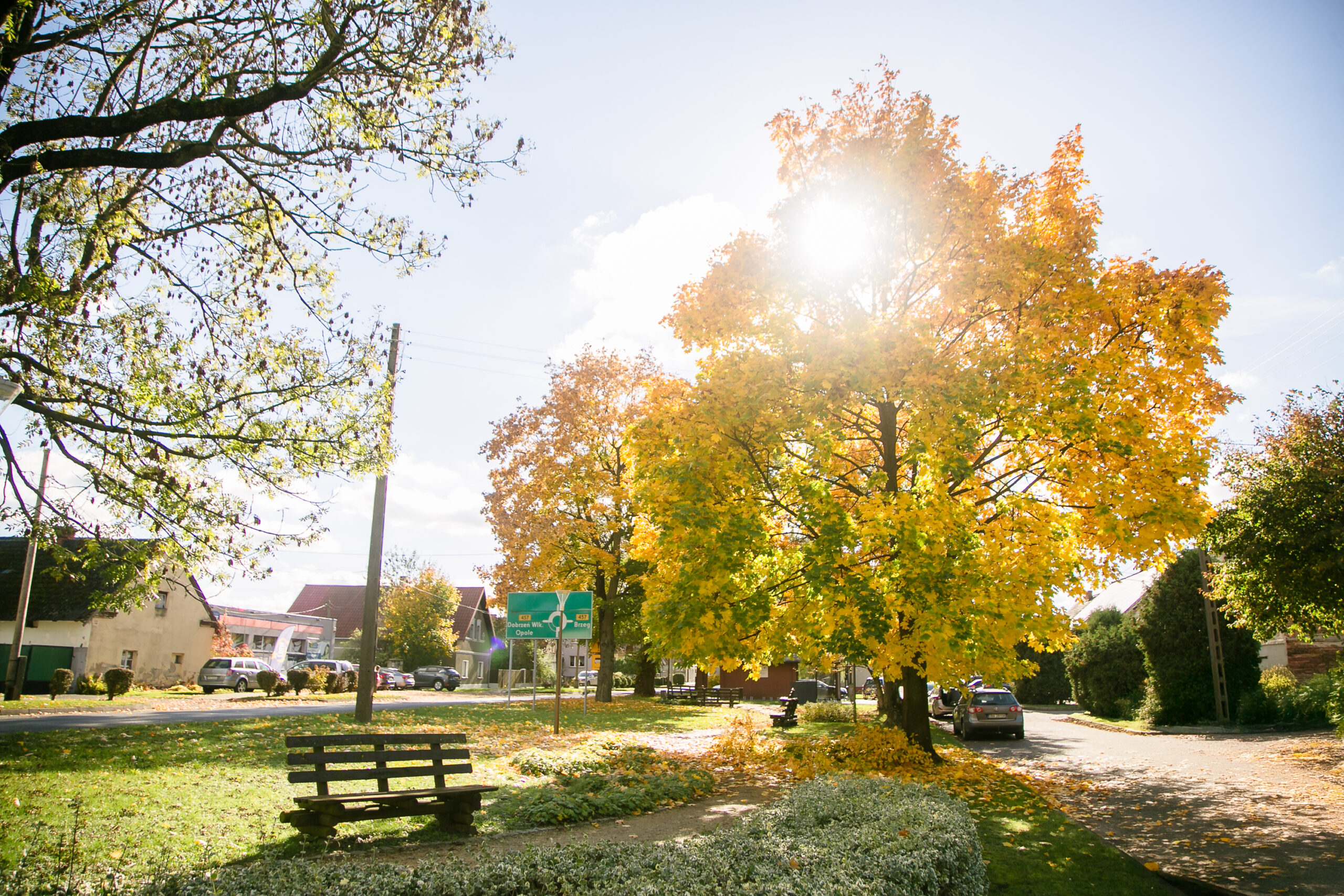 Jesień w Starych Siołkowicach