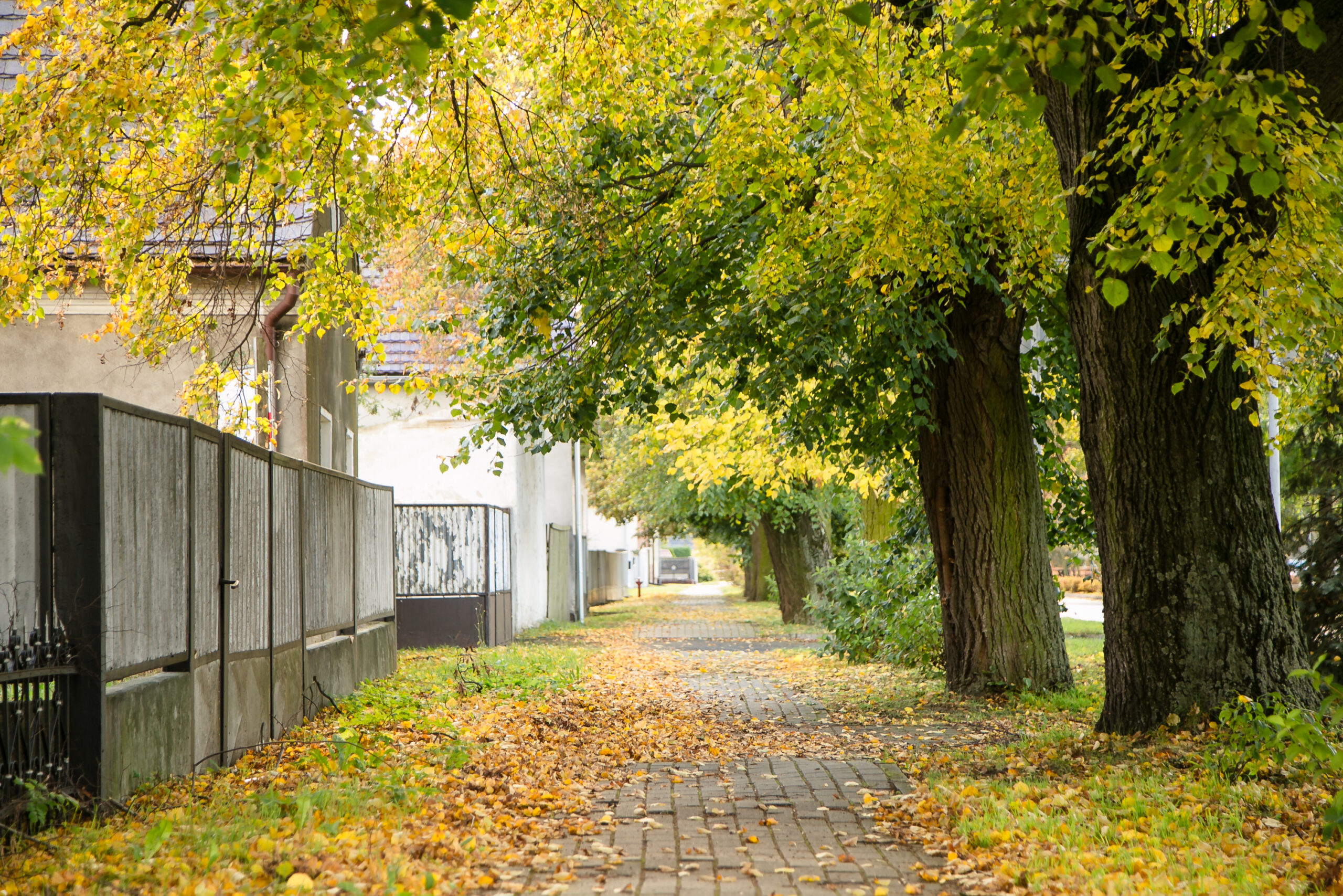 Jesień w Starych Siołkowicach