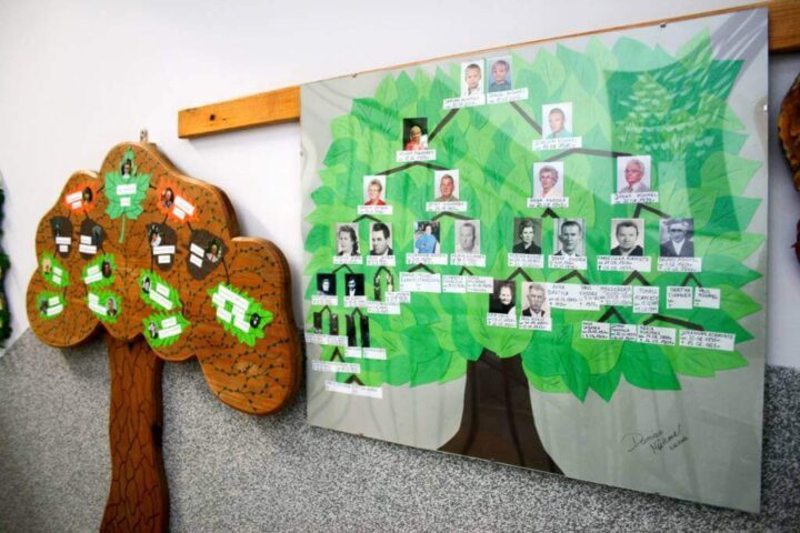 Pani Ewa od drzewa - drzewa genealogiczne
