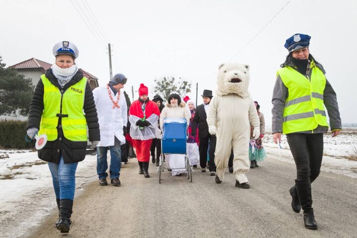 Niedźwiedź w wersji 2017 już na naszych ulicach! [Video]