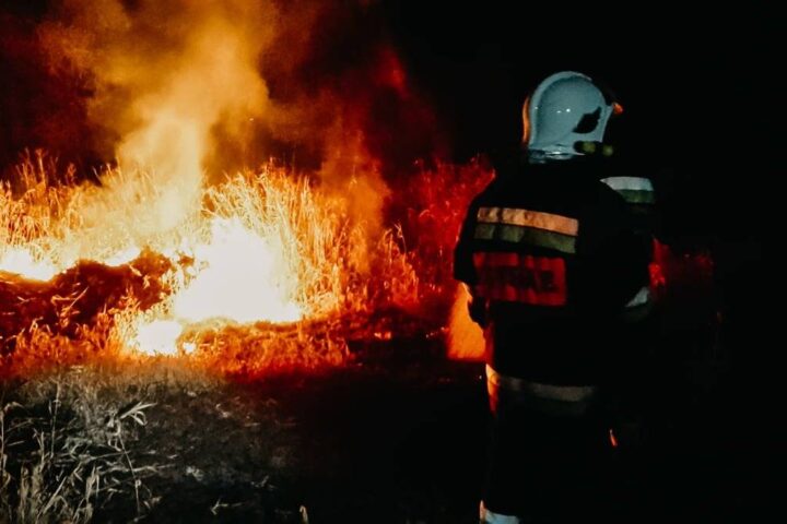 Pożar suchej trawy na Biedaszce
