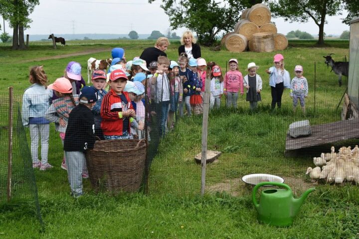 Przedszkolaki z wizytą w gospodarstwie rolnym u państwa Urban