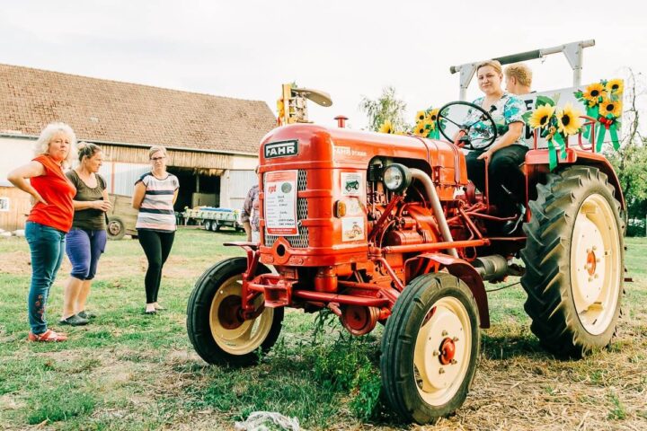 dożynki - czyli jak to wygląda od kuchni