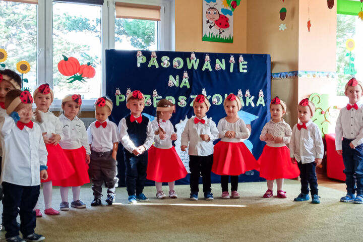 Pasowanie na Przedszkolaka w Starych Siołkowicach
