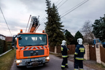 Drzewo zawisło na linii energetycznej