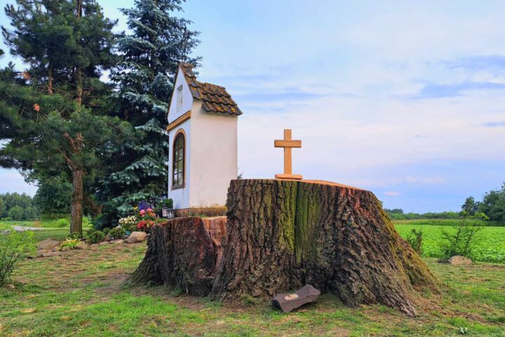 Historia i symbolika - krzyż z 300-letniego dębu przy Kapliczce u Bronowskiego [ZDJĘCIA]