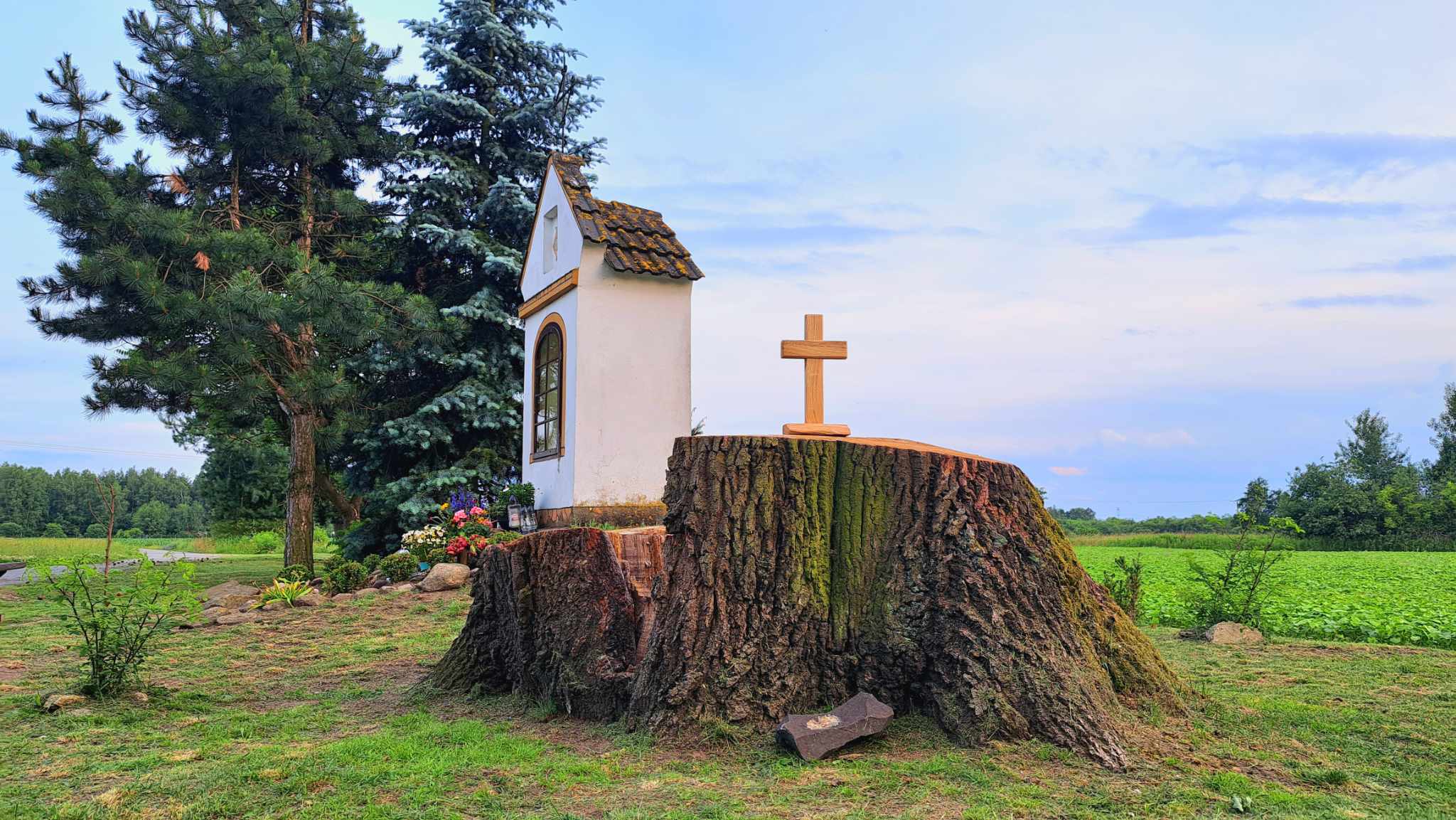 Historia i symbolika - krzyż z 300-letniego dębu przy Kapliczce u Bronowskiego [ZDJĘCIA]