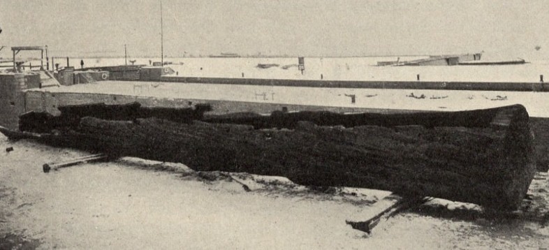 Dłubanka z Wróblina - rok 1909
