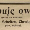 Gepel, wodne budenki, tag tess - tożsamość konia