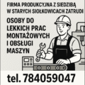 Praca w Starych Siołkowicach