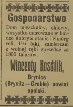 Gepel, wodne budenki, tag tess - tożsamość konia