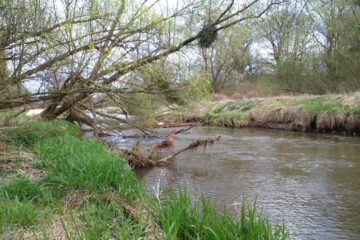Dawne dopływy Odry. Część II. Brynica – rzeka zamieniona