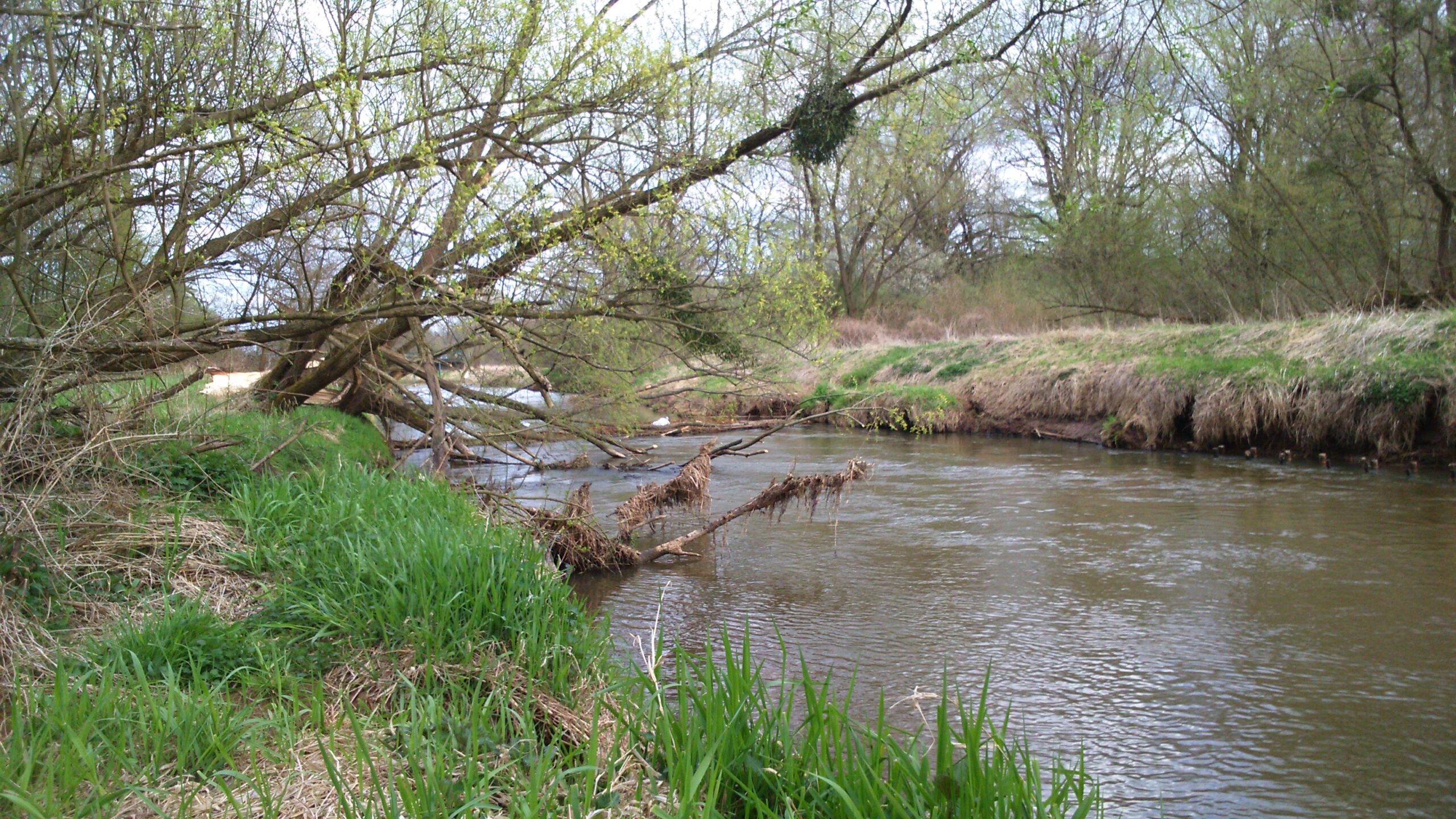 Dawne dopływy Odry. Część II. Brynica – rzeka zamieniona Dawne dopływy Odry. Część II. Brynica – rzeka zamieniona