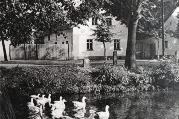 "Zagłoba górnośląski" - Jacek Koraszewski o Jakubie Kani - rok 1953